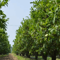 ���谈辑օ��|�喷涂技术的开发背�?/> </a> </div>
                <div   id=